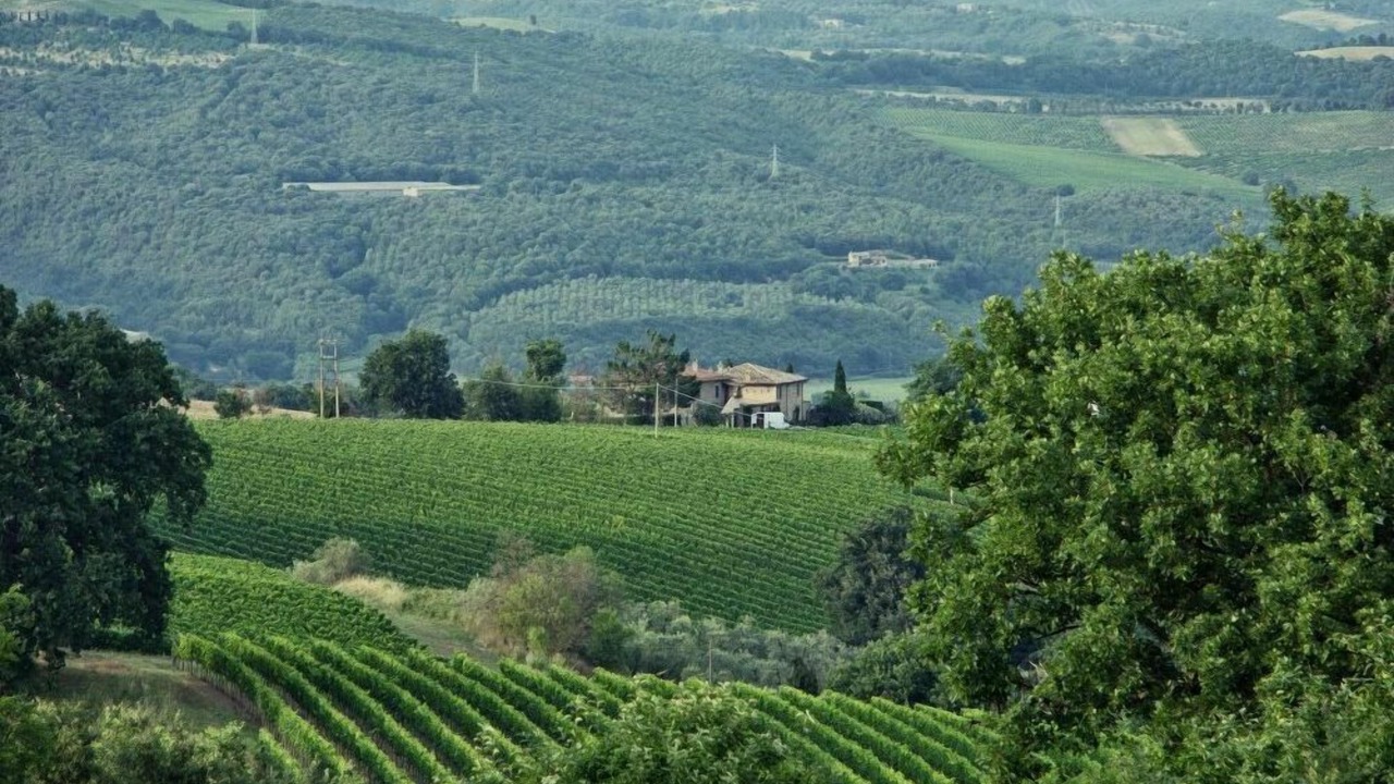 Photo of Outdoor in Corbara