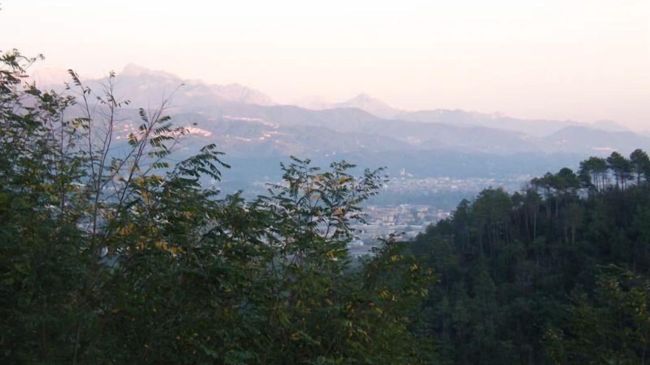 Photo of Others in Follo