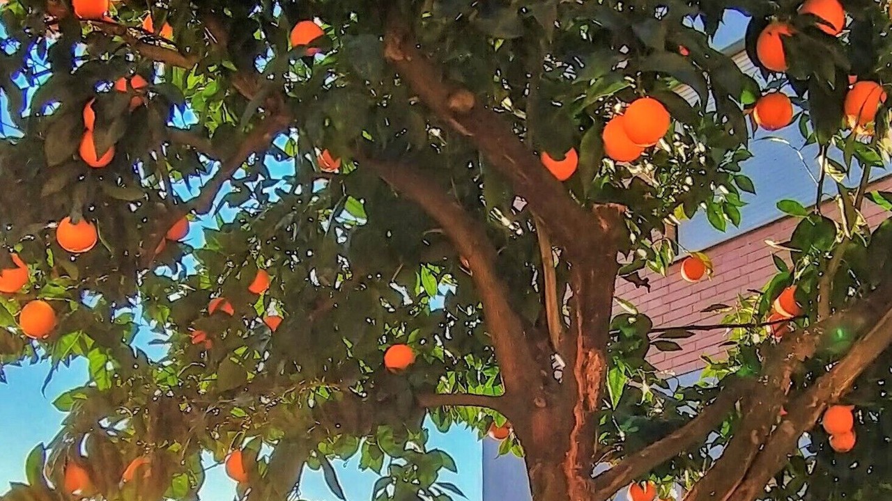 Photo of Outdoor in Recanati