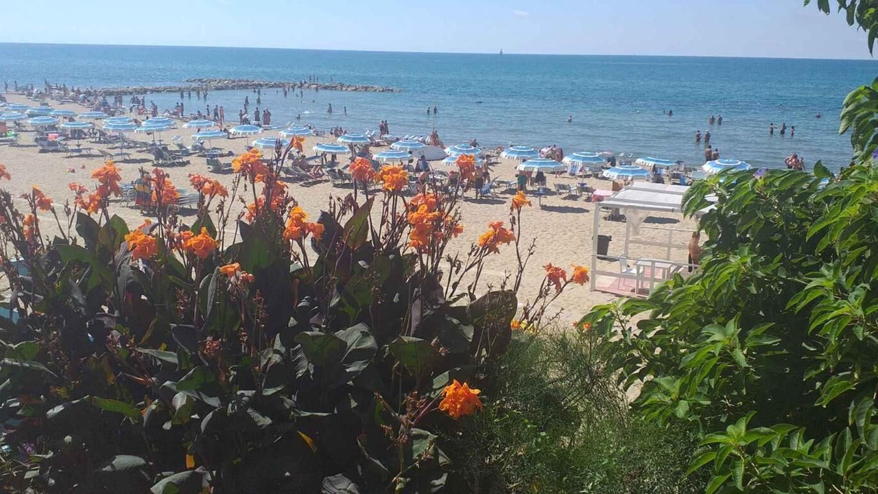 Photo of Others in Borgo Santa Maria