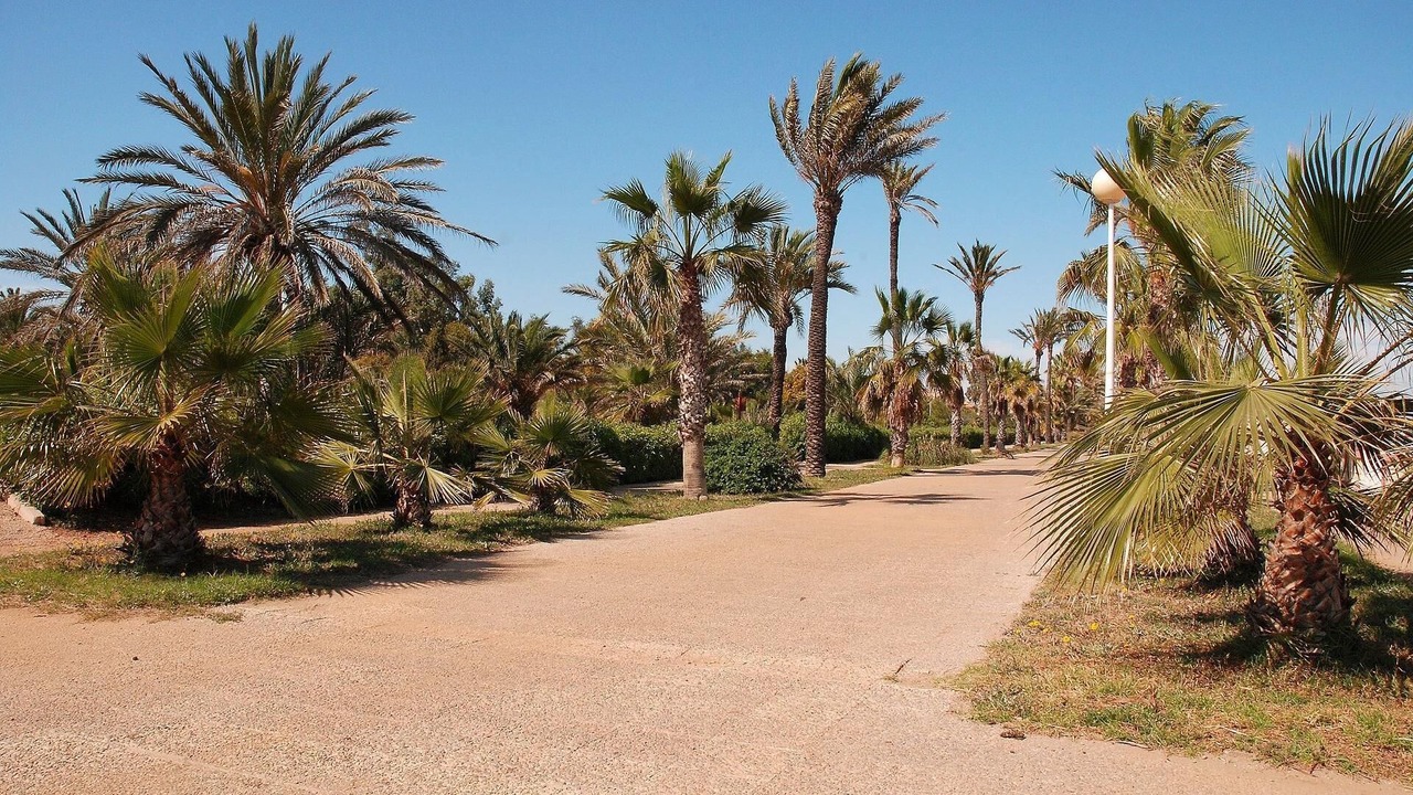 Photo of Outdoor in El Algar