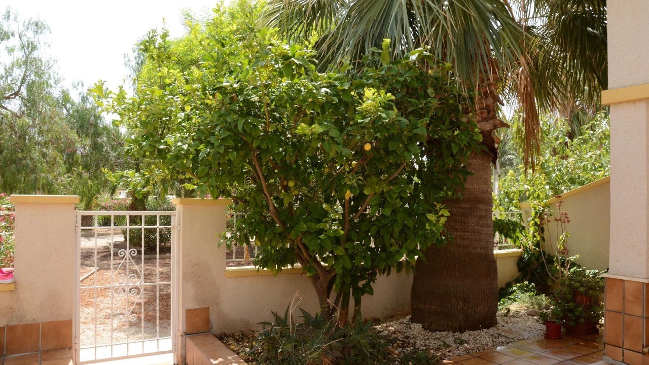 Photo of Outdoor in El Algar