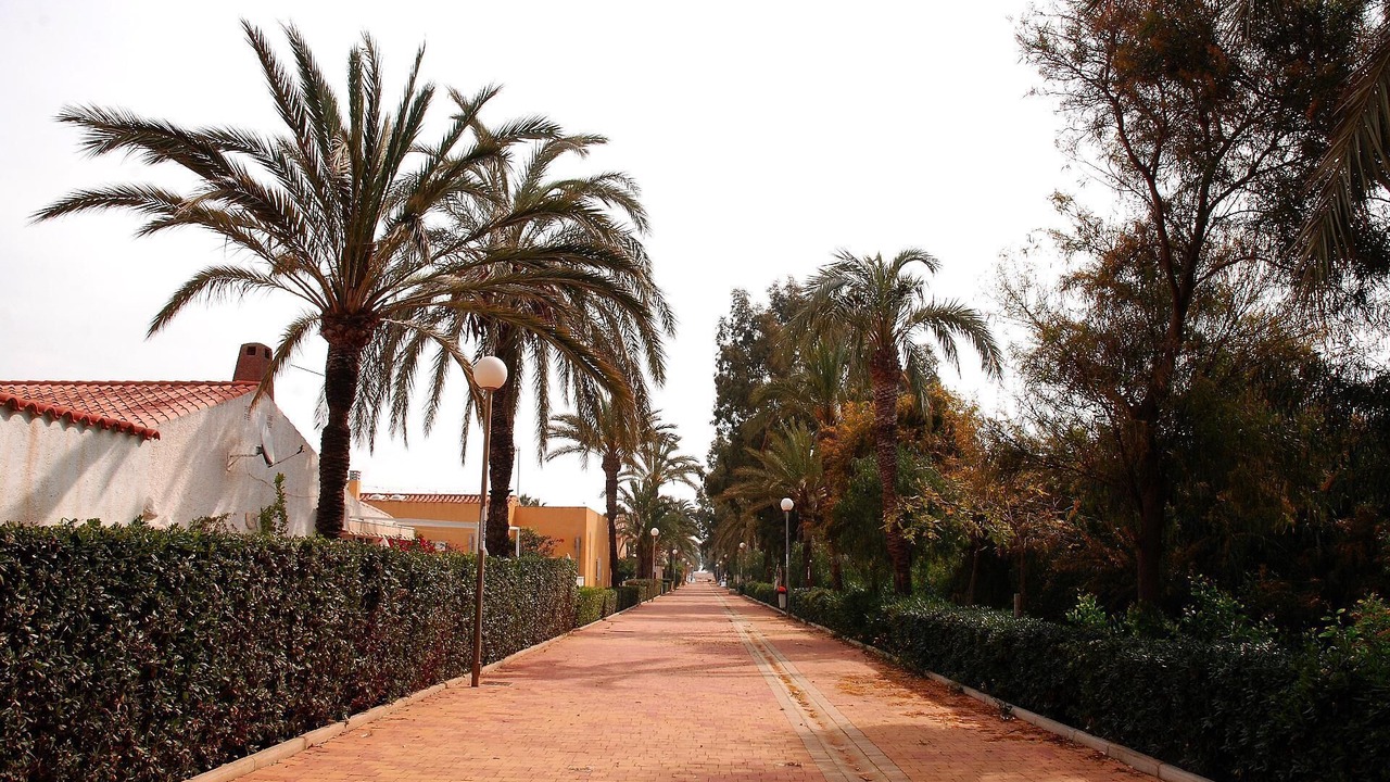 Photo of Outdoor in El Algar