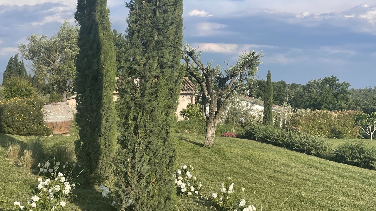 Photo of Outdoor in Montoro