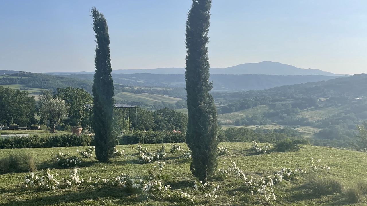 Photo of Outdoor in Montoro