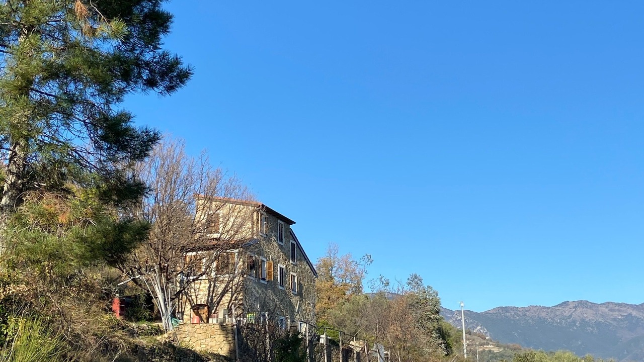 Photo of Outdoor in Dolceacqua