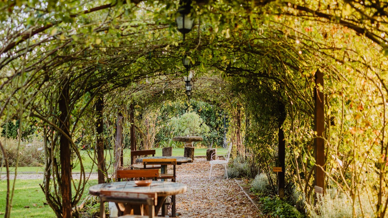 Photo of Outdoor in Teverina di Cortona