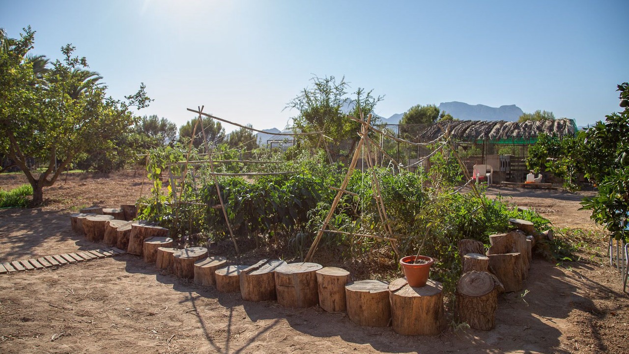Photo of Outdoor in El Albir