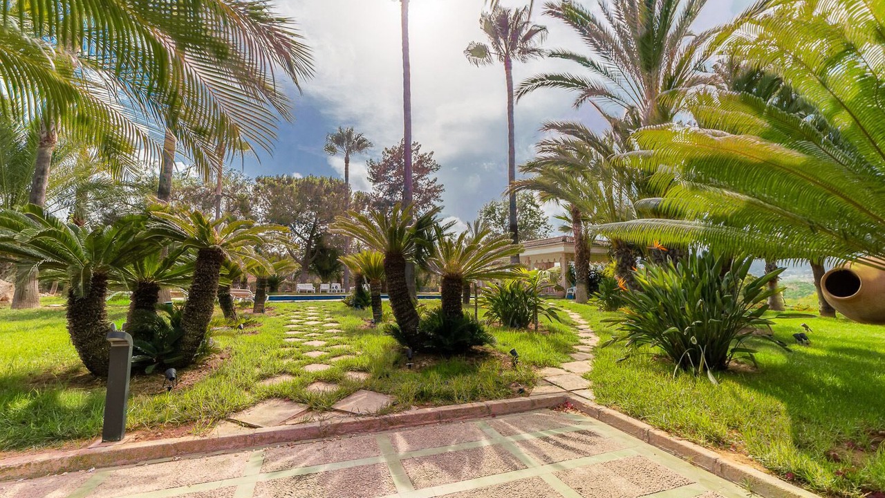 Photo of Outdoor in El Albir
