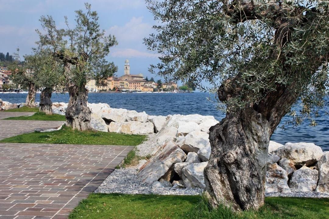 Photo of Outdoor in Toscolano Maderno