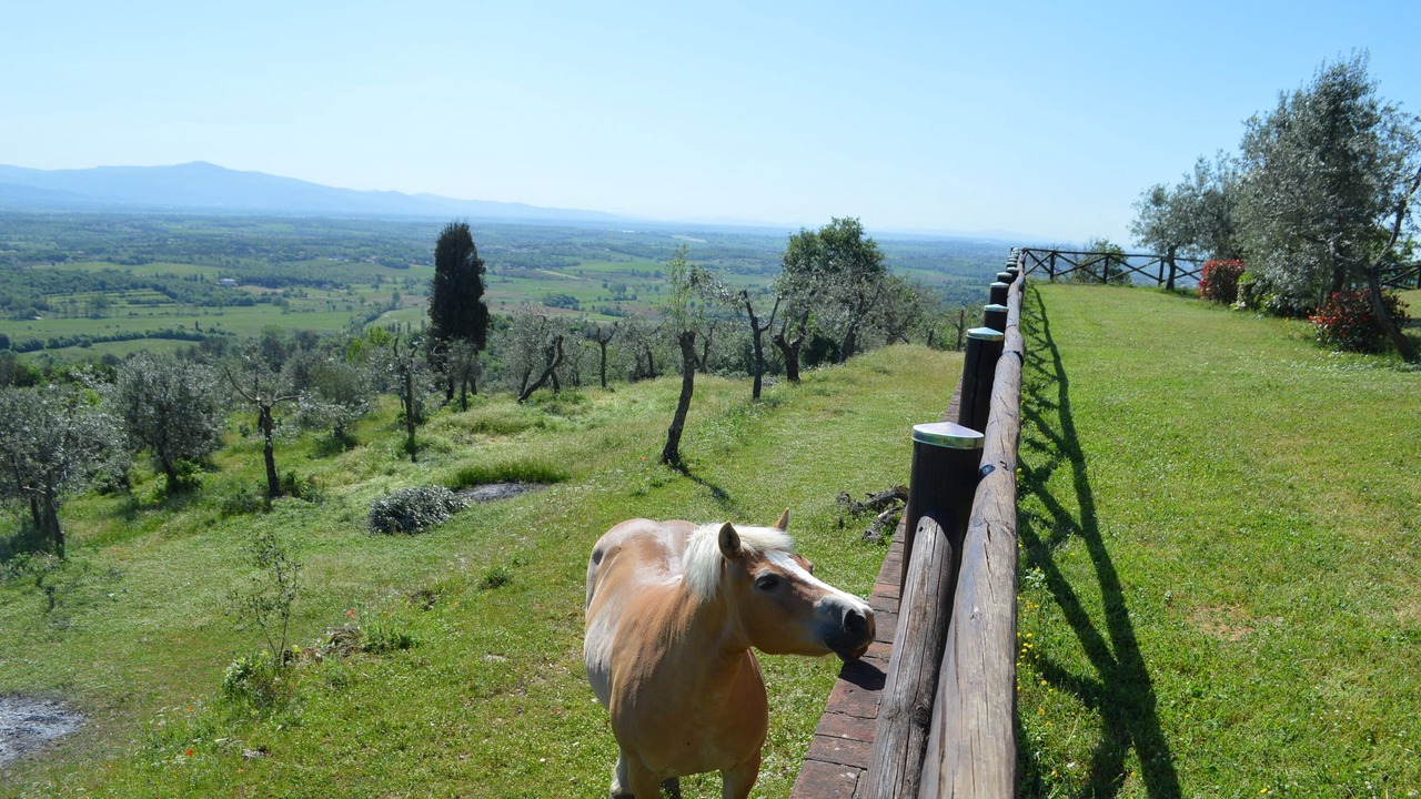 Photo of Outdoor in Civitella in Val di Chiana