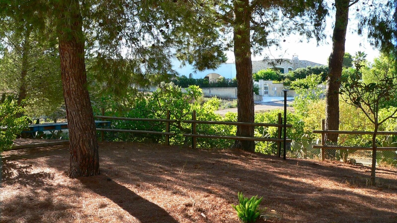 Photo of Outdoor in Santa Maria al Bagno