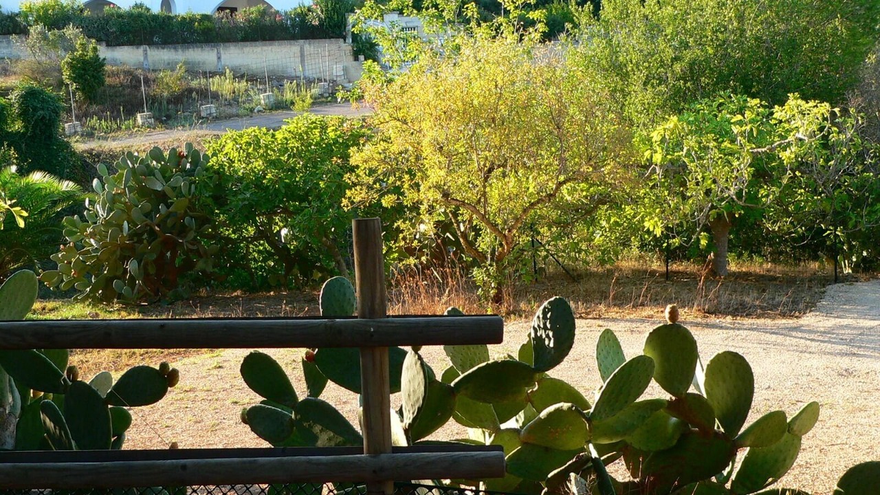 Photo of Outdoor in Santa Maria al Bagno