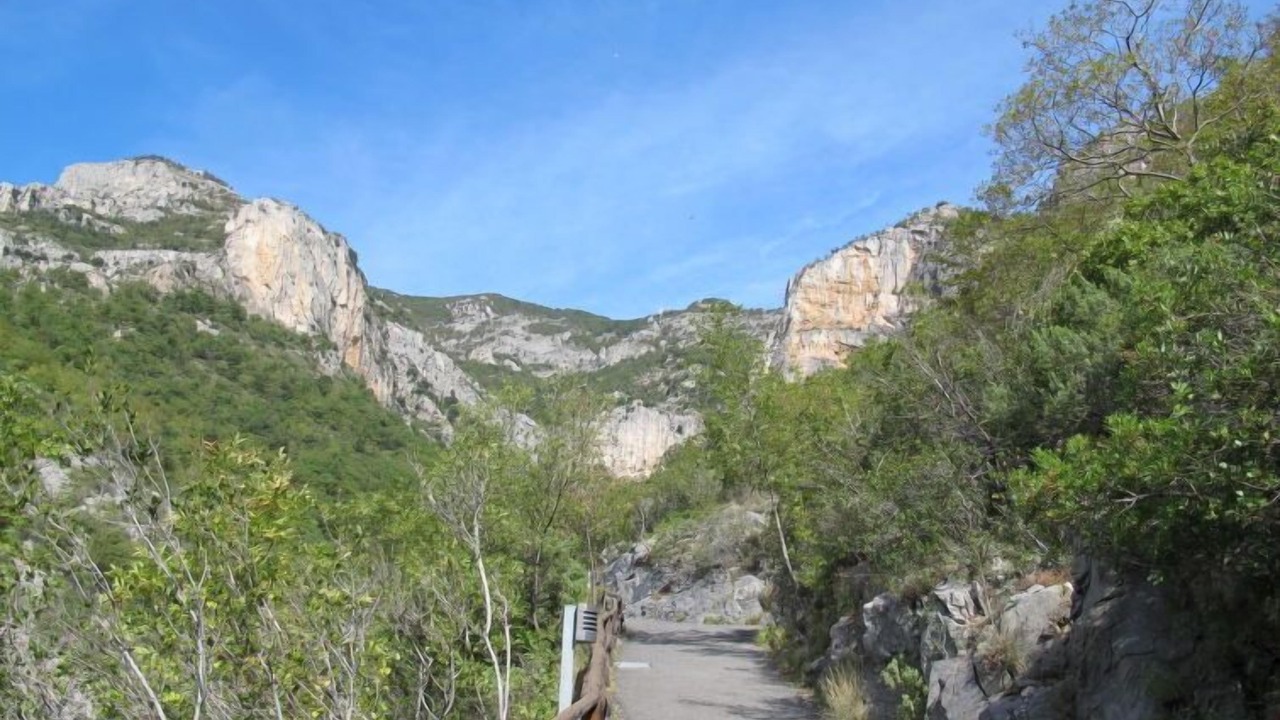 Photo of Others in Toirano