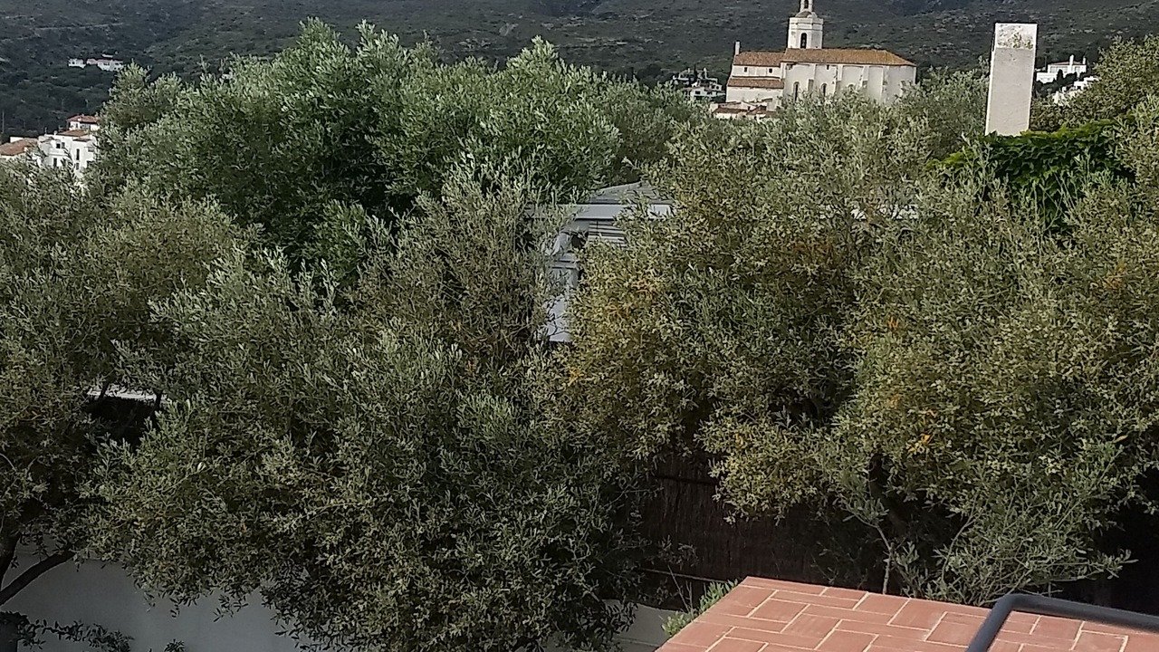 Photo of Outdoor in Cadaques