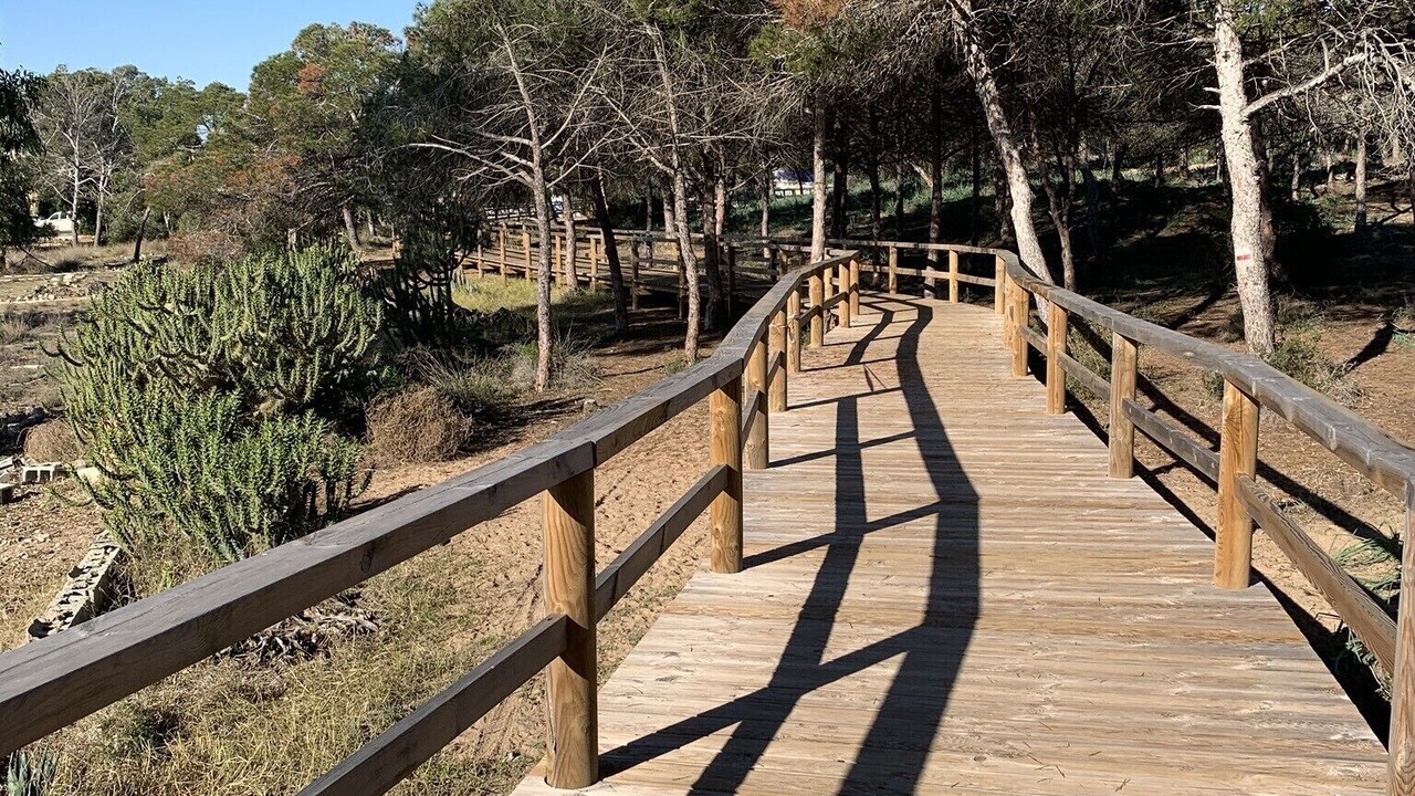 Photo of Outdoor in Guardamar del Segura