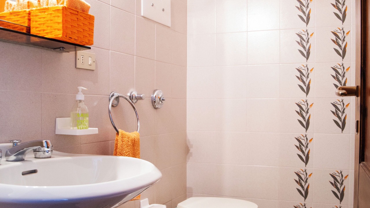 Photo of Bathroom in Massino Visconti