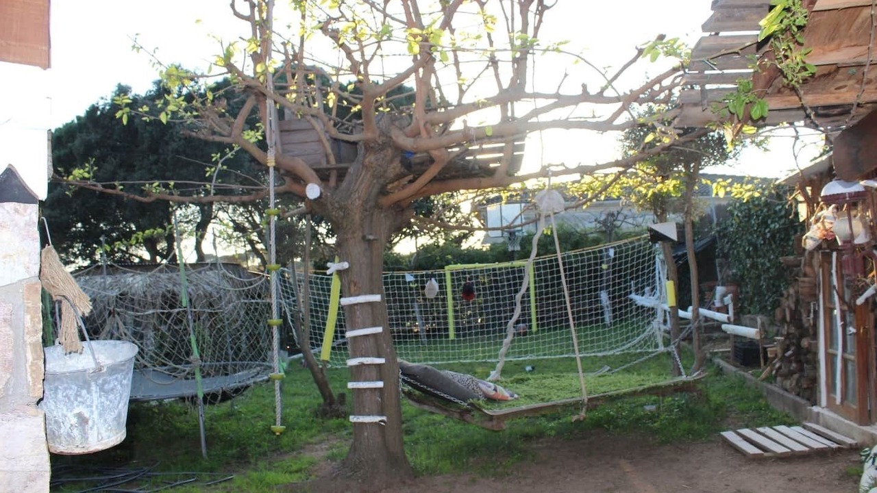 Photo of Outdoor in Gualba de Dalt