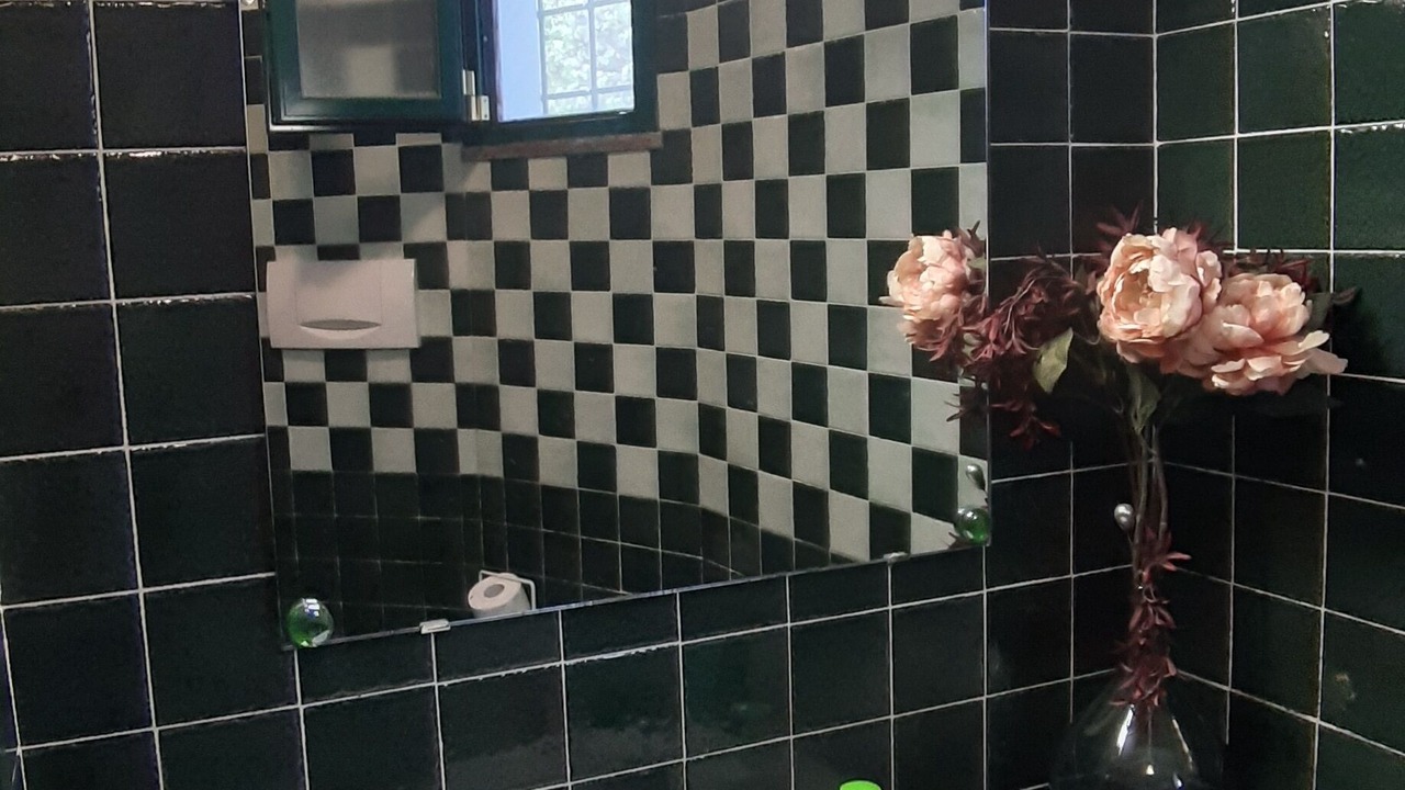 Photo of Bathroom in Terzorio