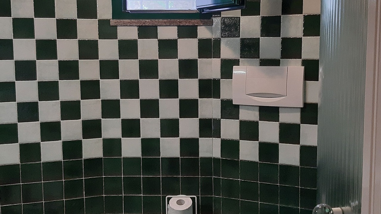 Photo of Bathroom in Terzorio