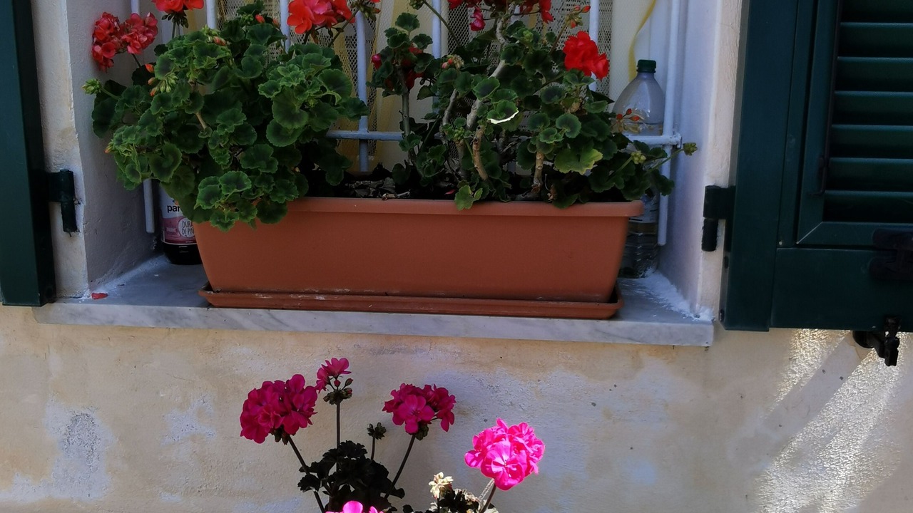 Photo of Outdoor in Sesta Godano
