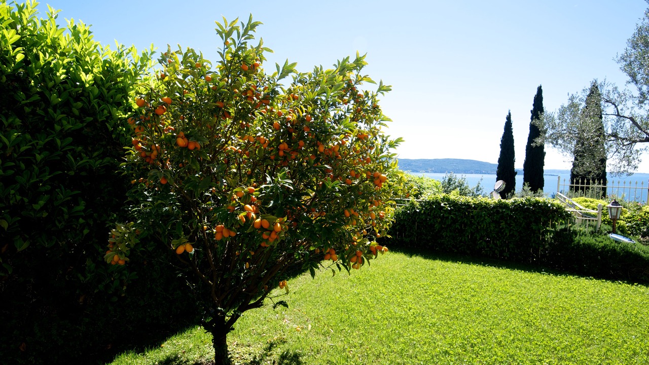 Photo of Outdoor in Toscolano Maderno
