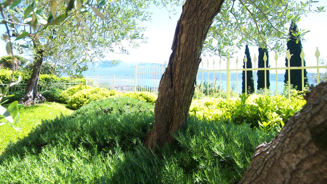 Photo of Outdoor in Toscolano Maderno