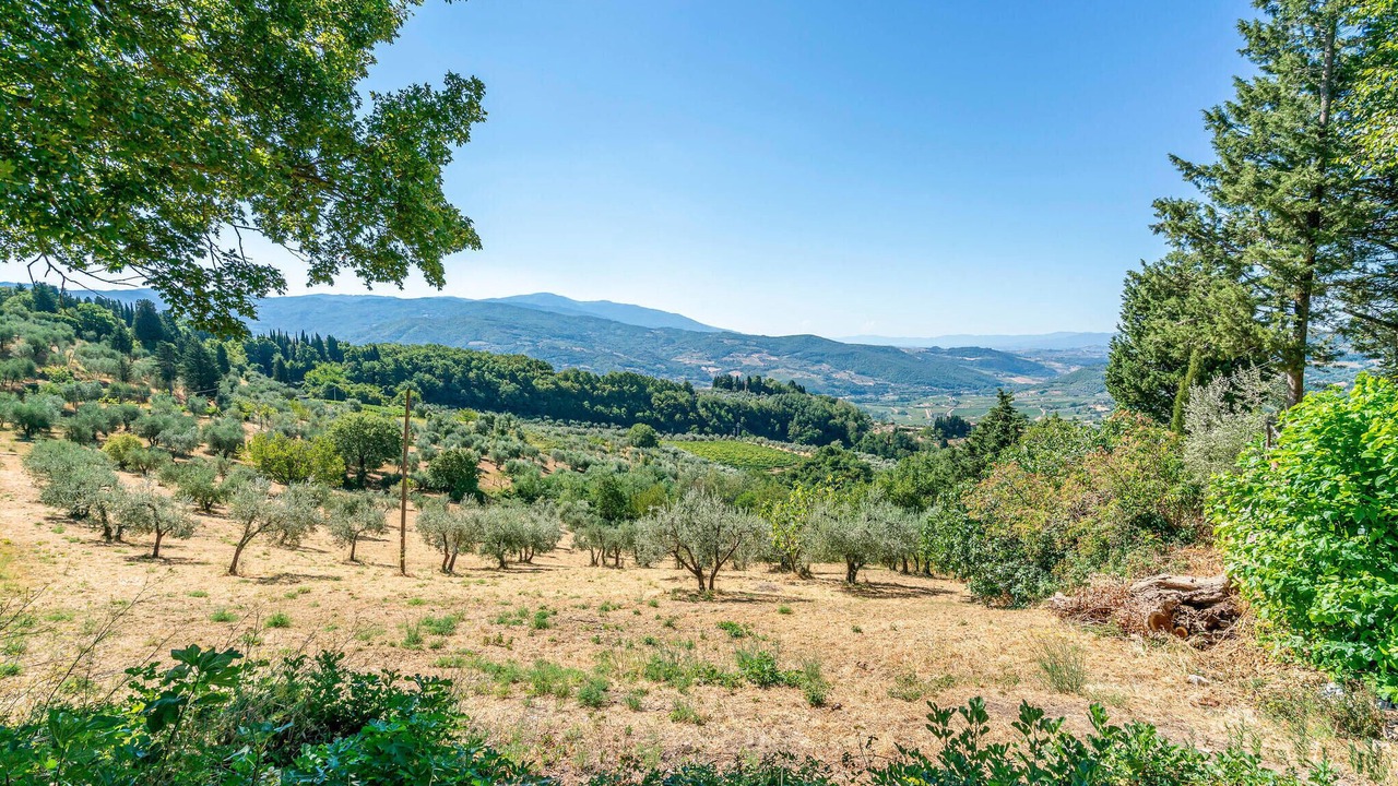 Photo of Bedroom in Montebonello