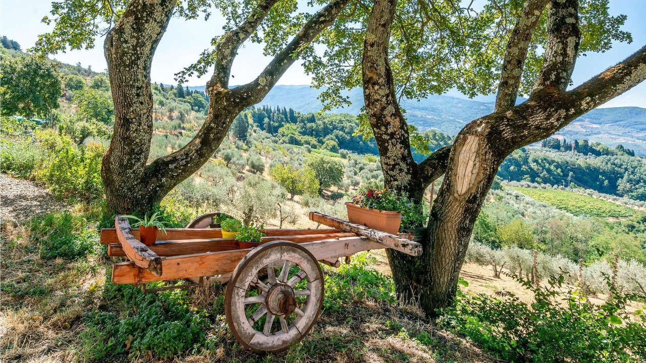 Photo of Bedroom in Montebonello