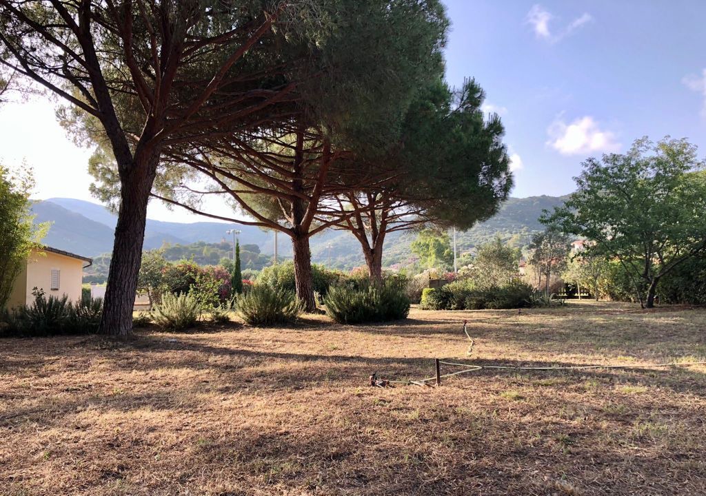 Photo of Outdoor in Lacona