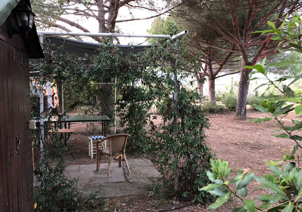 Photo of Outdoor in Lacona