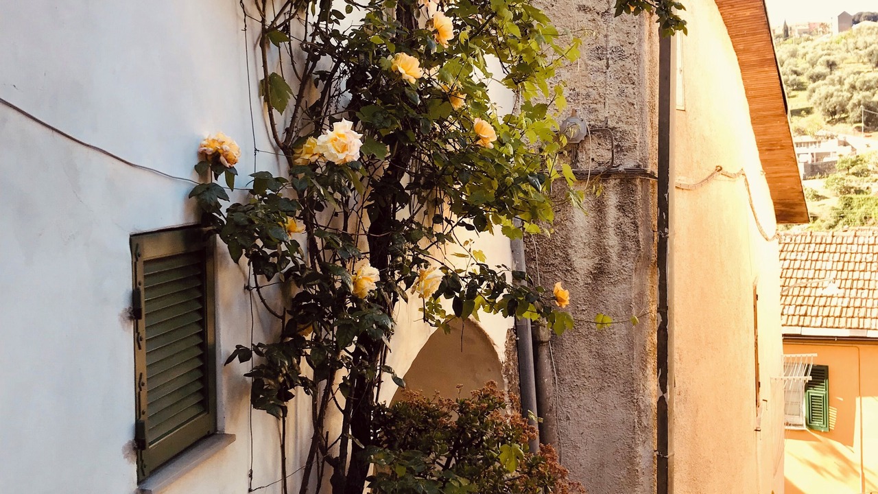 Photo of Outdoor in Diano San Pietro