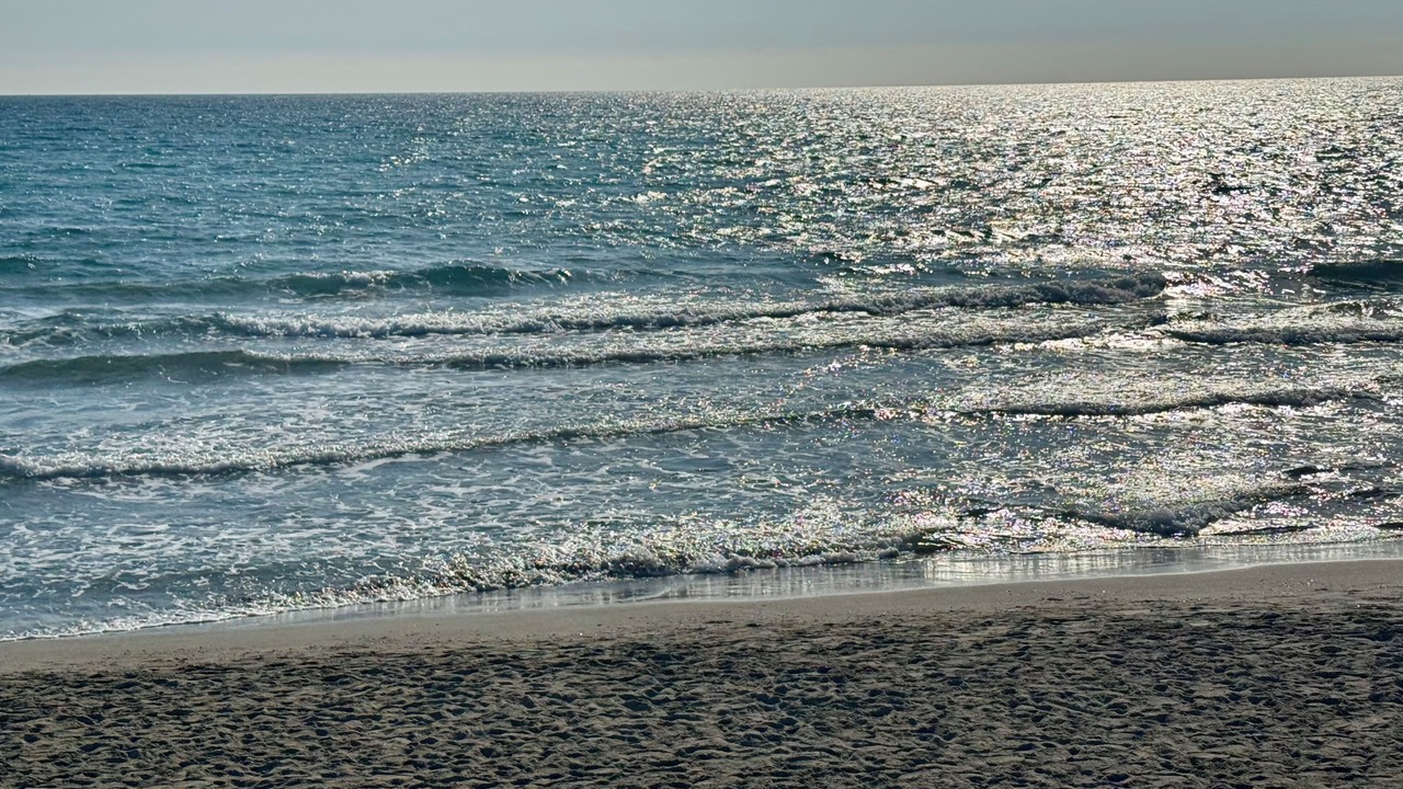 Photo of Others in Diano San Pietro