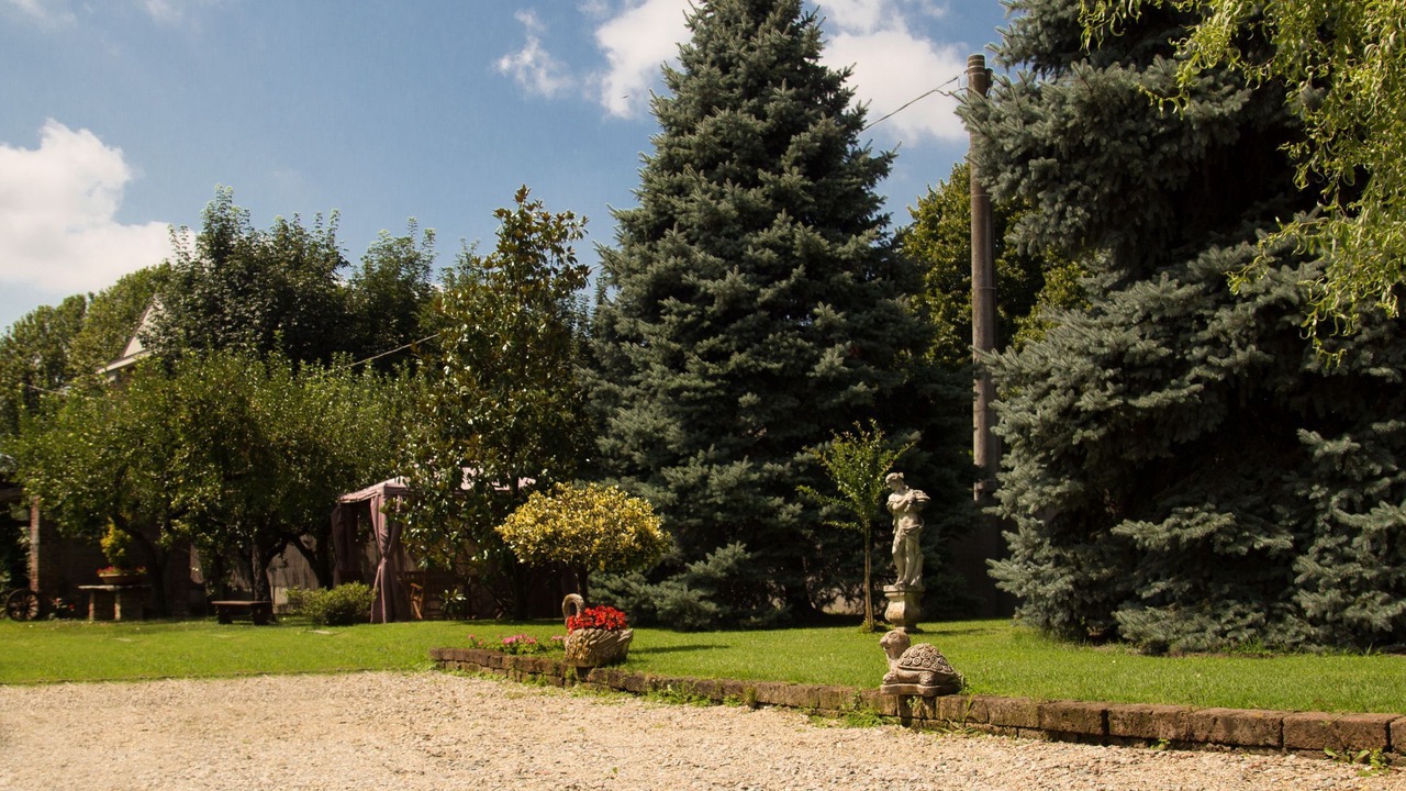Photo of Outdoor in Airasca