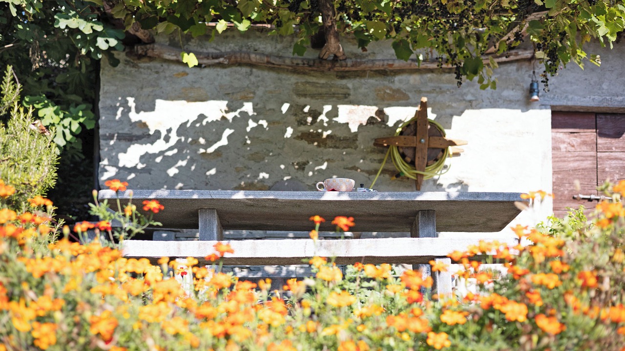 Photo of Outdoor in Crevoladossola