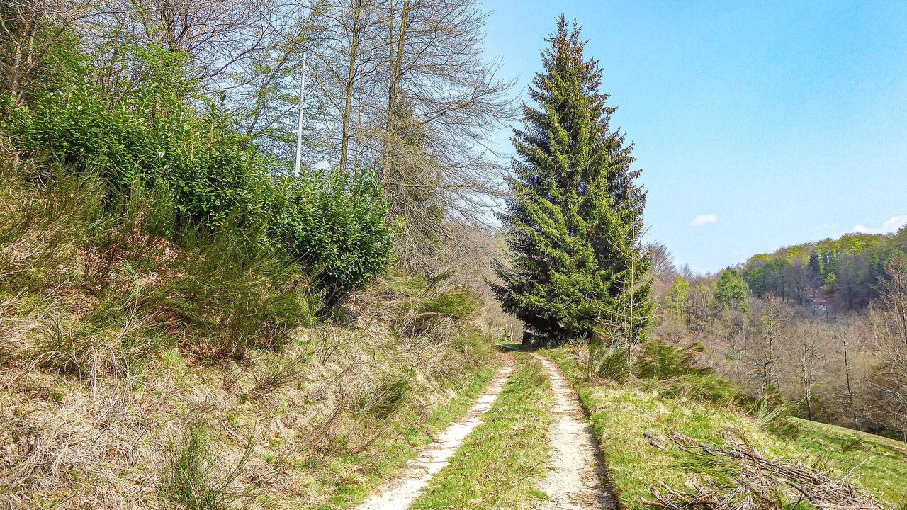 Photo of Others in Madonna del Sasso