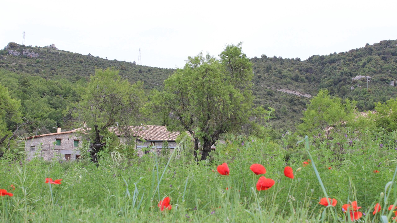 Photo of Outdoor in Samitier