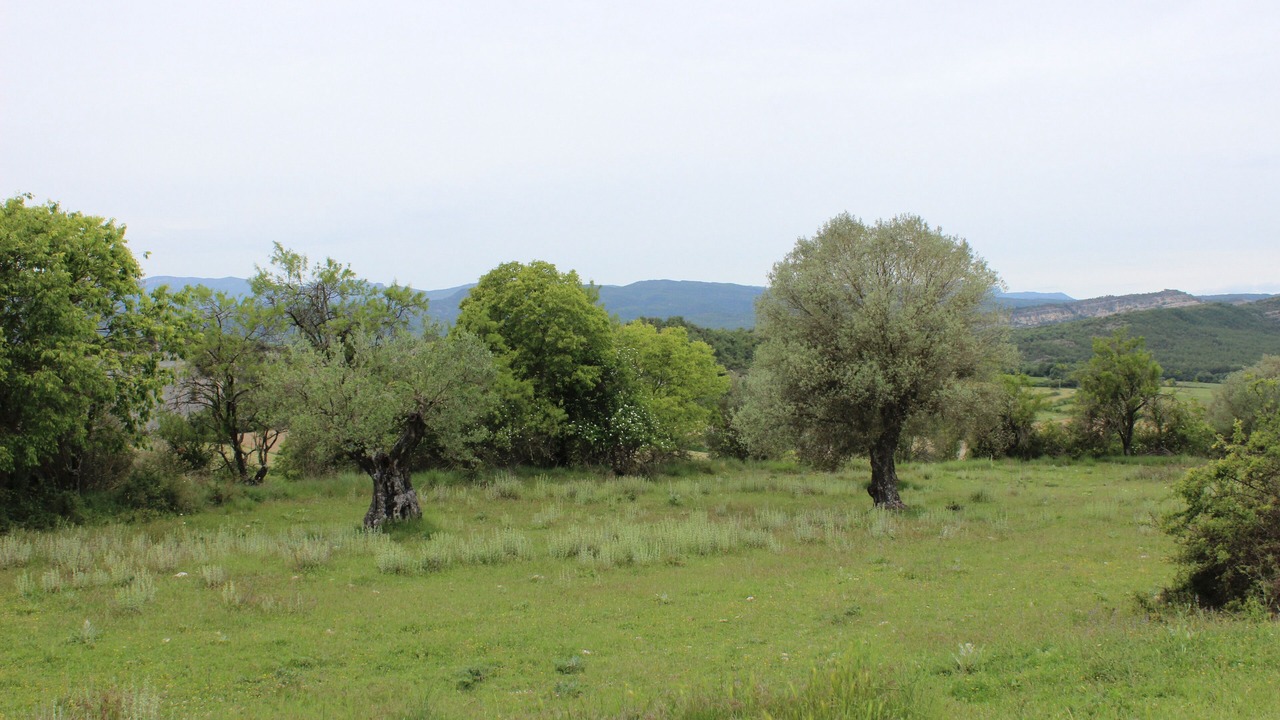 Photo of Outdoor in Samitier