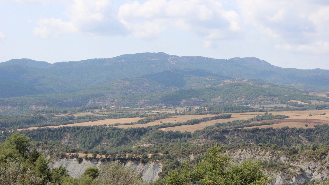Photo of Others in Samitier