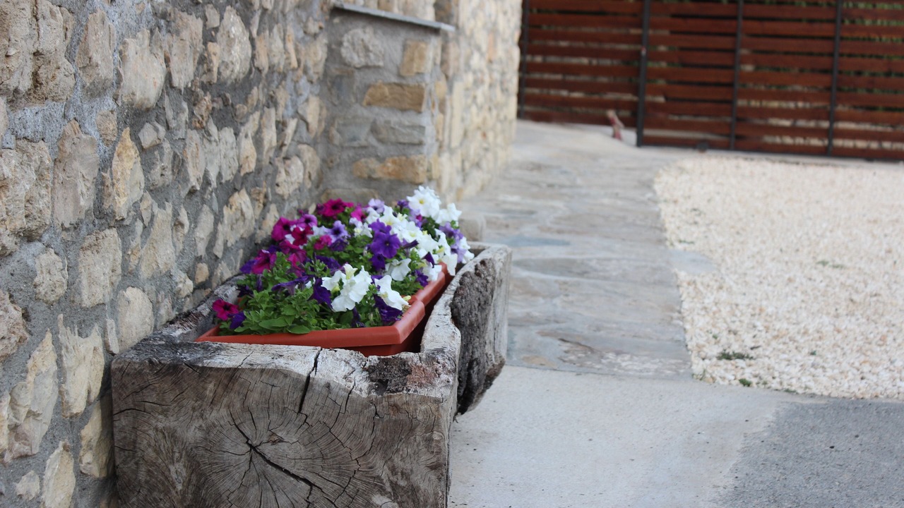 Photo of Outdoor in Samitier