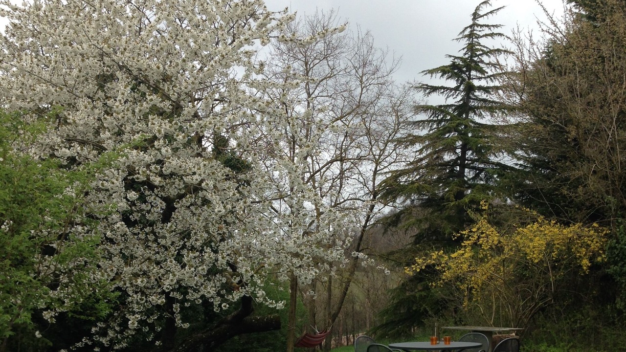 Photo of Outdoor in Mengara