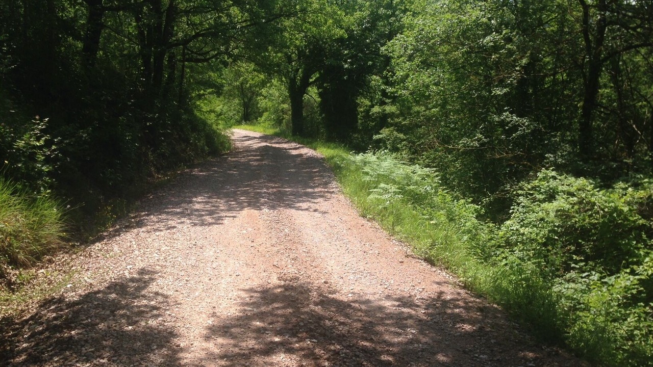 Photo of Outdoor in Mengara