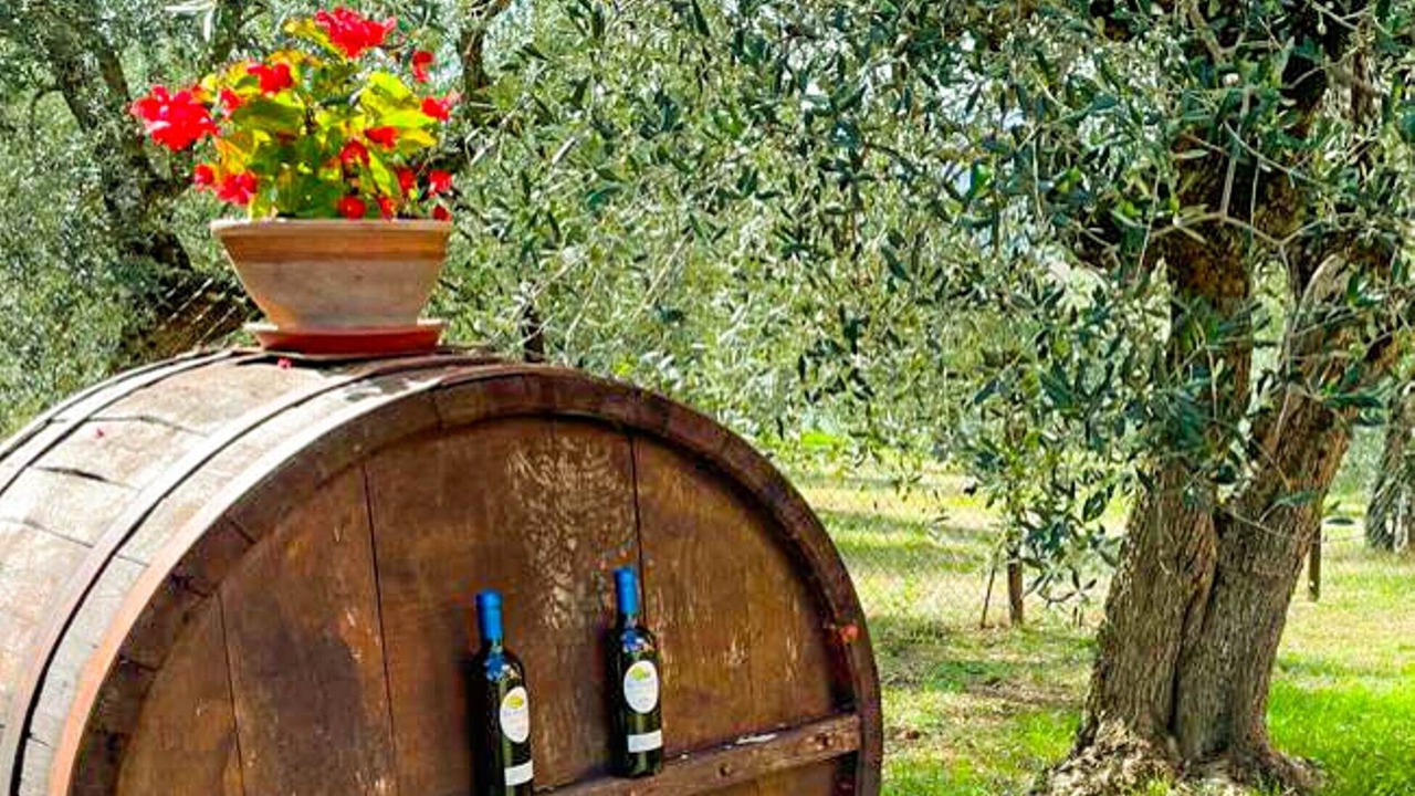 Photo of Outdoor in Panicale