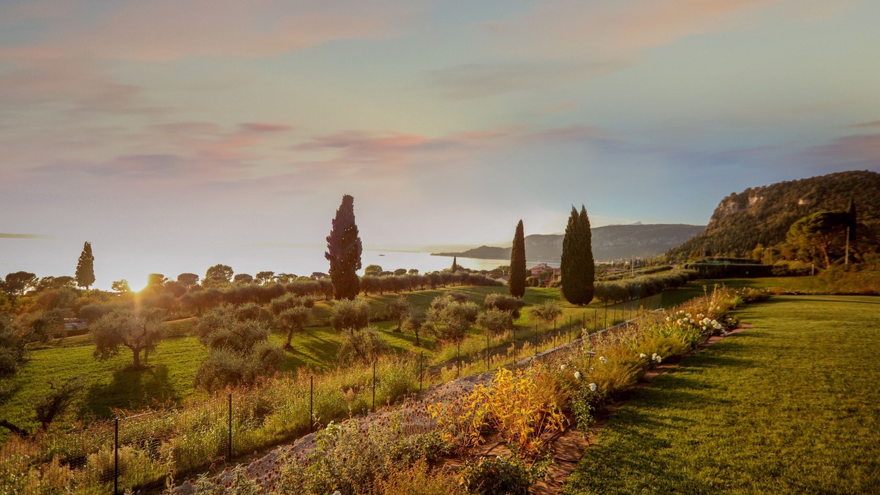 Photo of Outdoor in Bardolino