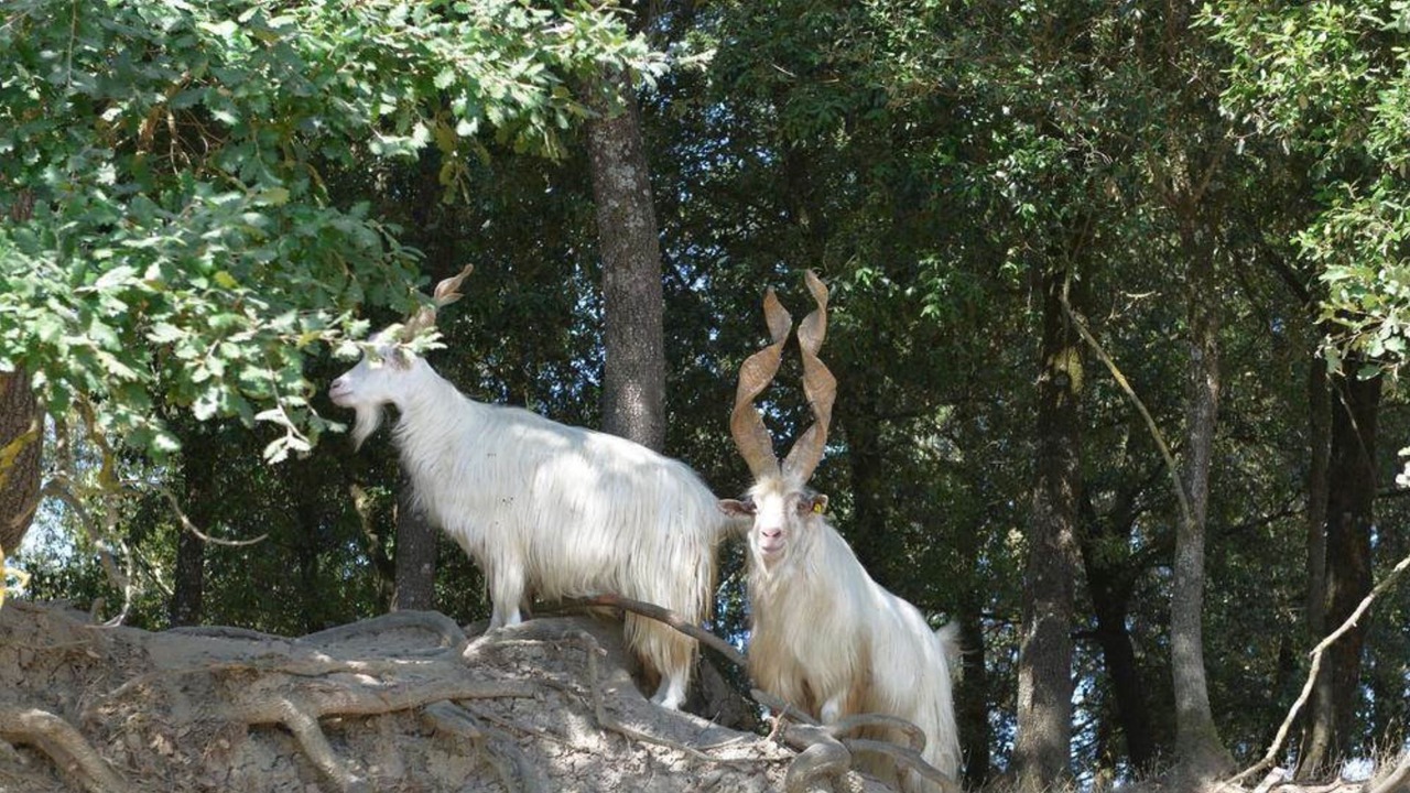 Photo of Outdoor in Monteroni d'Arbia