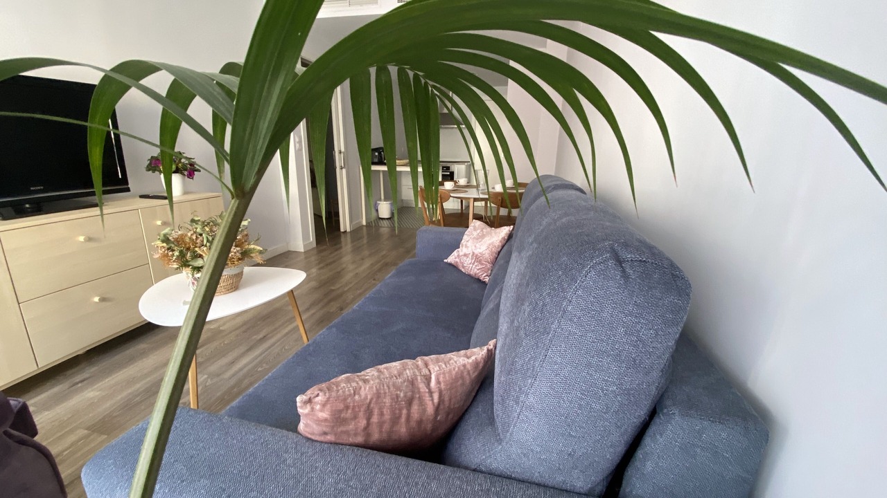 Photo of Livingroom in Distrito Noroeste