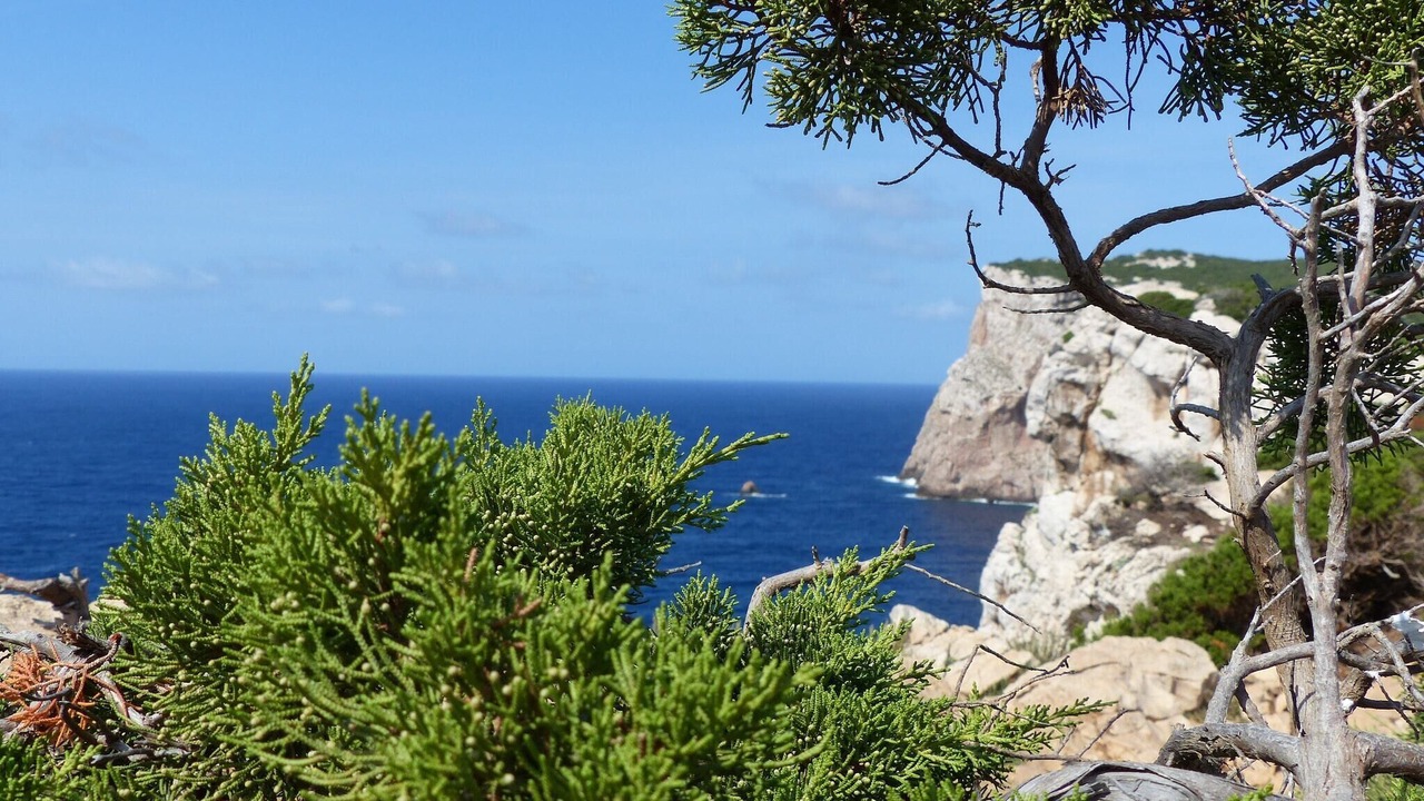 Photo of Others in Olbia