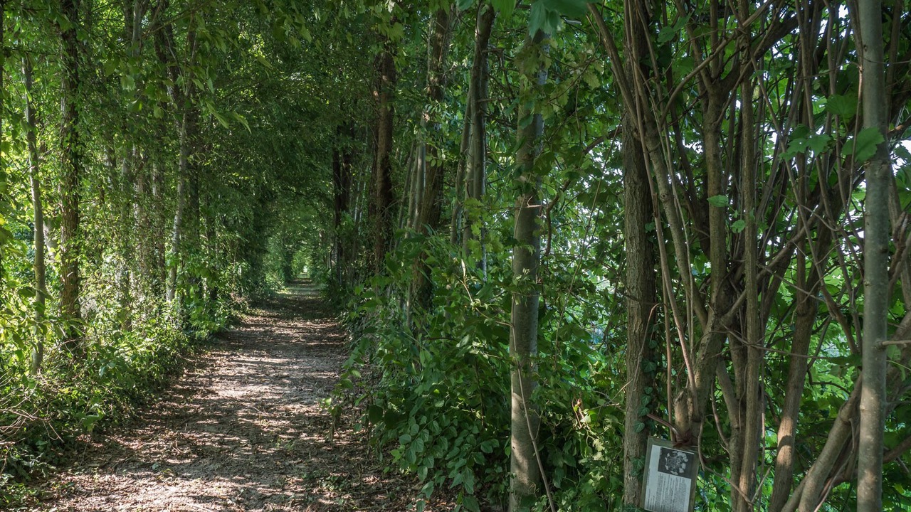 Photo of Outdoor in Malcontenta