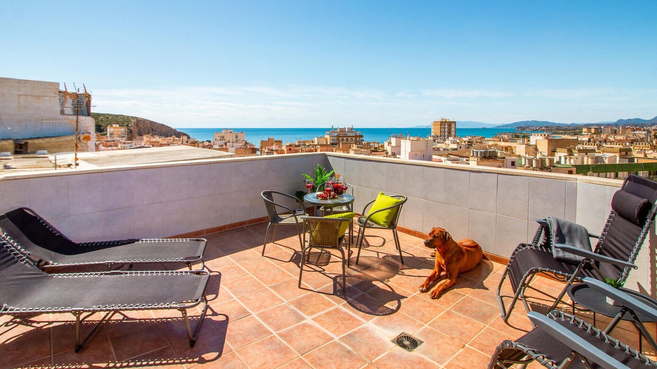 Photo of Others in Aguilas