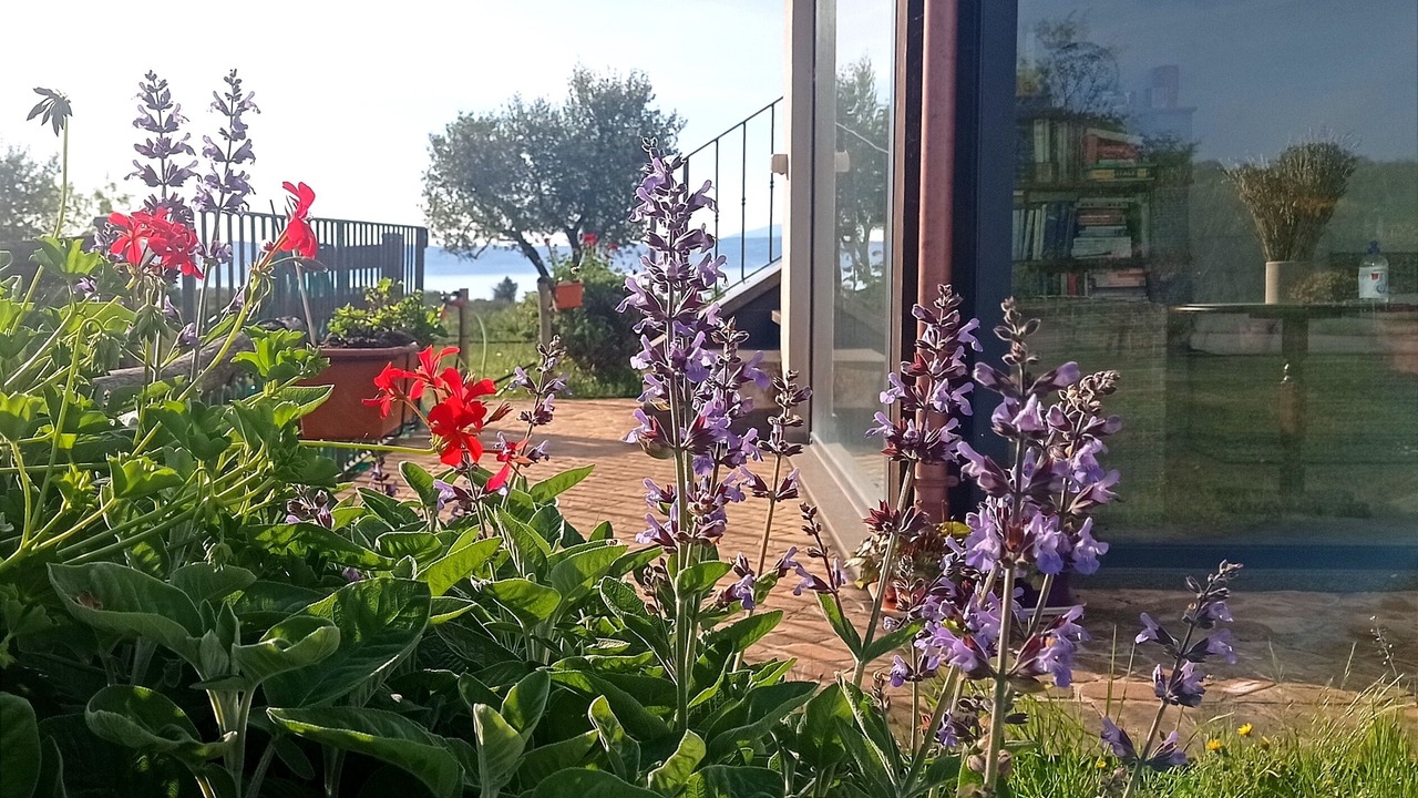 Photo of Outdoor in Grotte di Castro